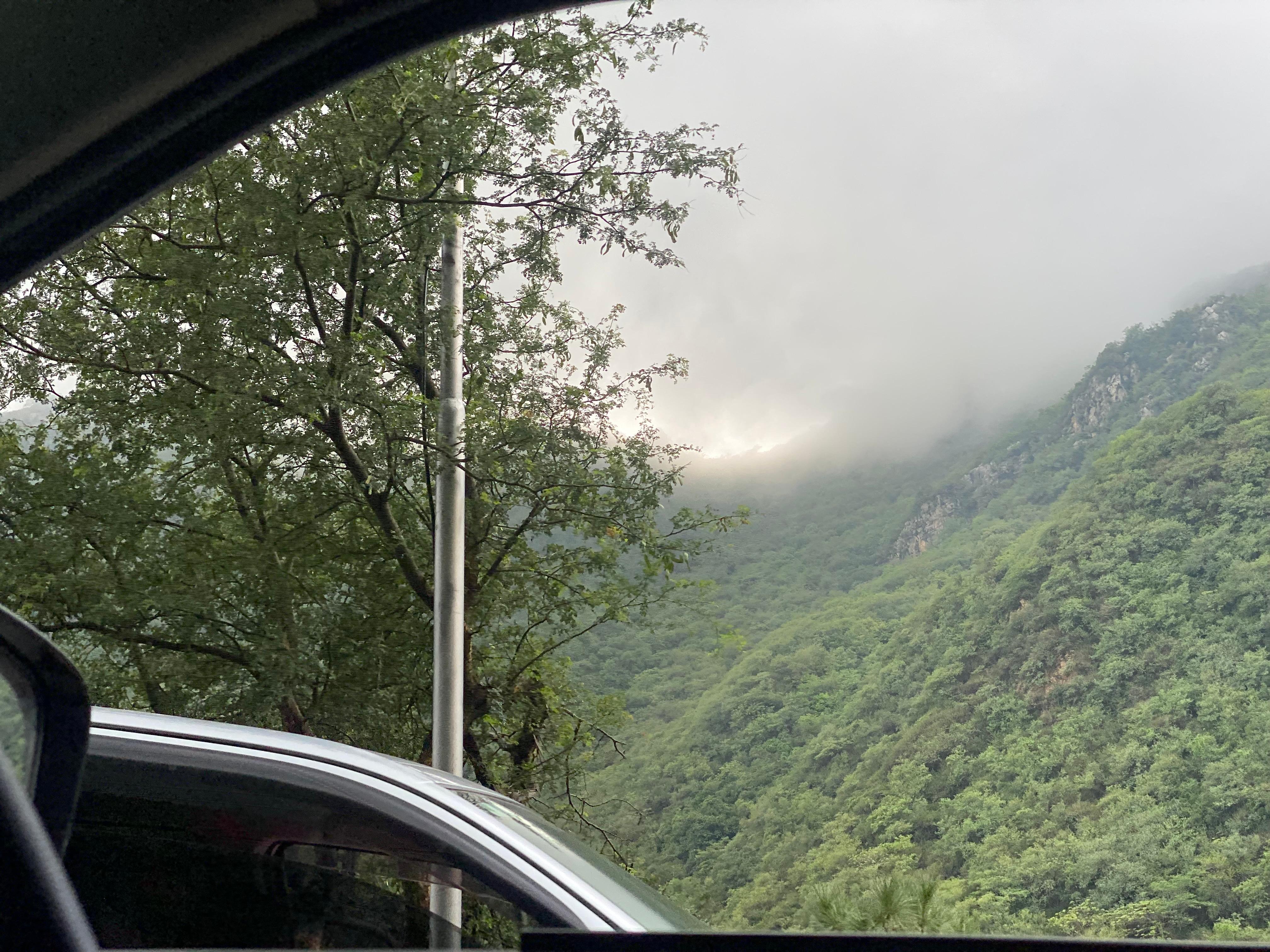 natural  views