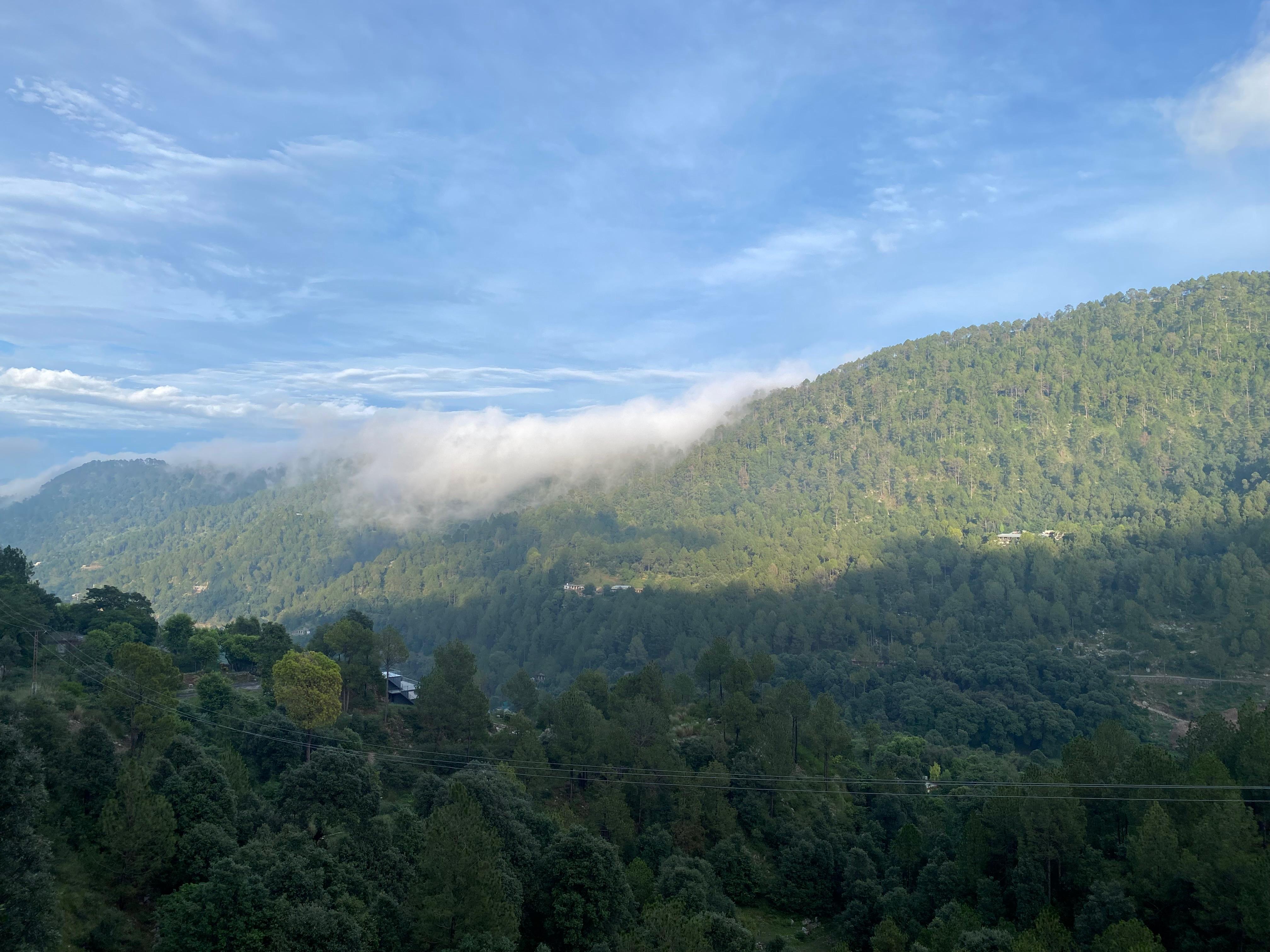 natural  views
