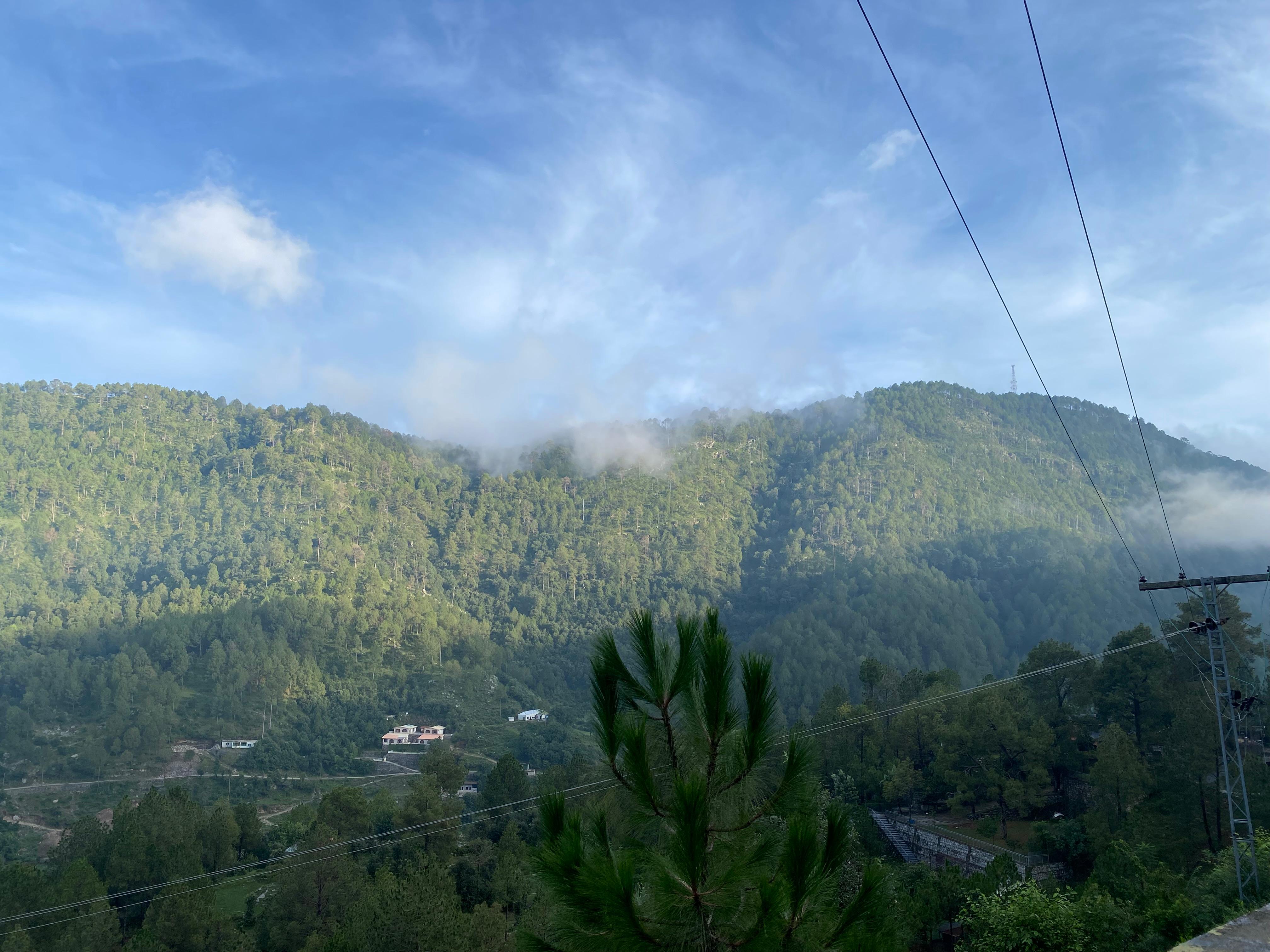 natural  views