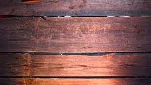 Hard Wood